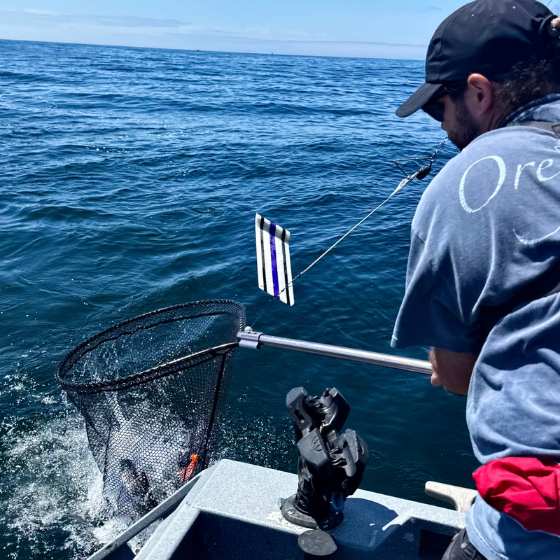 Load image into Gallery viewer, HydroVault Flasher | 360 Trolling Flasher | Built In Scent Chamber, Adjustable Speed, With a Magnetic Breakaway Flasher