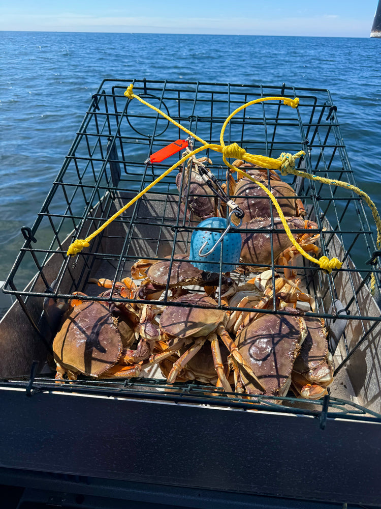 Keep Your Crab Pots Occupied Longer