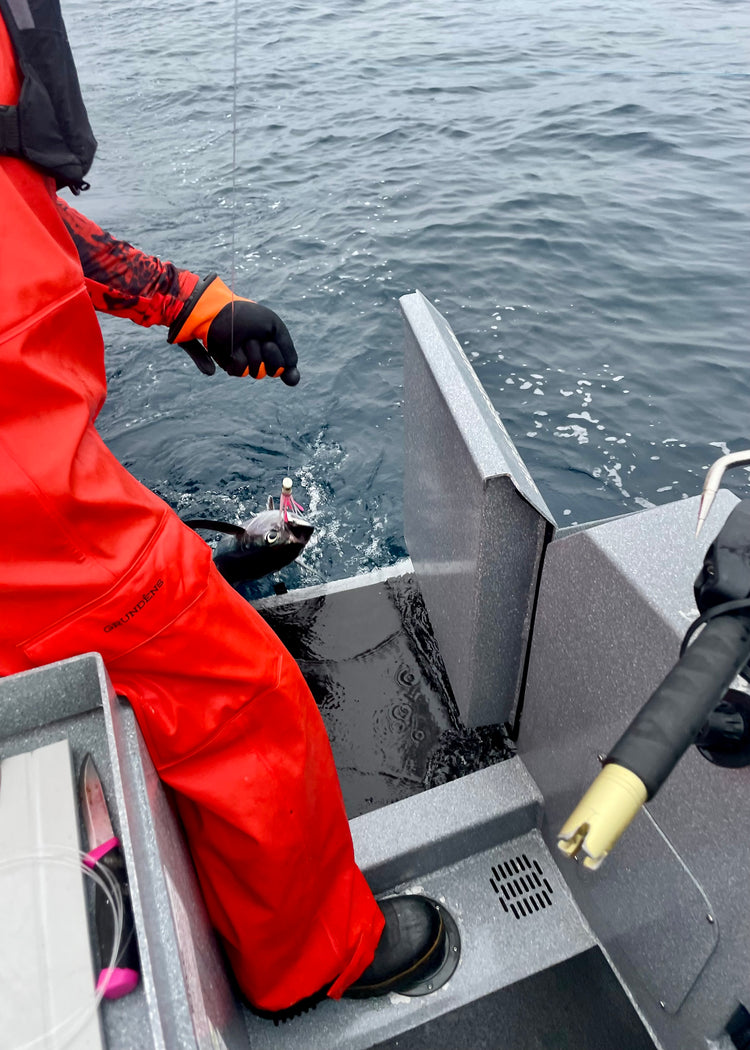 Even in Murky Condition Catch the Eye of Tuna