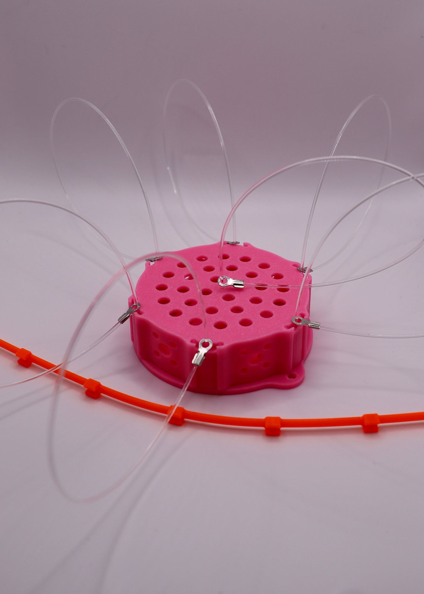 Bait Basket Snare
