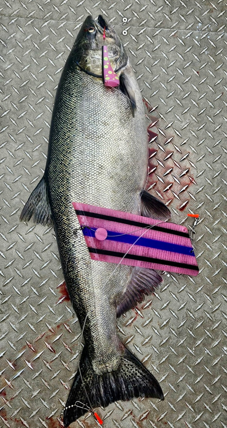 Bouy 10 Starting Off Hot This Year