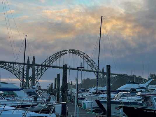 Where to Fish in Northwest Oregon and What to do After - A Guide for Anglers From Oregon Natives