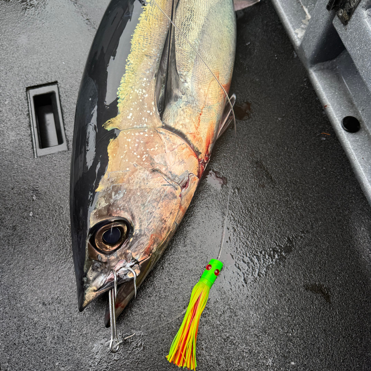 Tuna Fishing Lures – Albacore, Yellowfin & Ahi