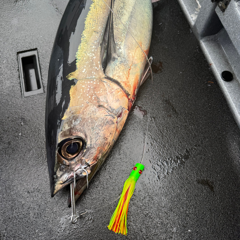 Load image into Gallery viewer, Offshore Crew | Tuna Clone Style Lure for Yellowfin, Albacore &amp; Ahi Tuna Fishing
