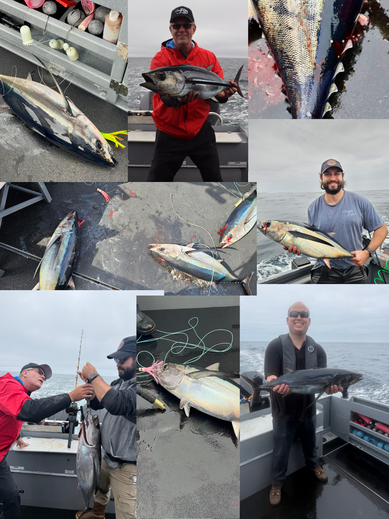 Load image into Gallery viewer, Holiday Tuna Clone Bundle – Offshore Tuna Lures for Albacore &amp; Bluefin
