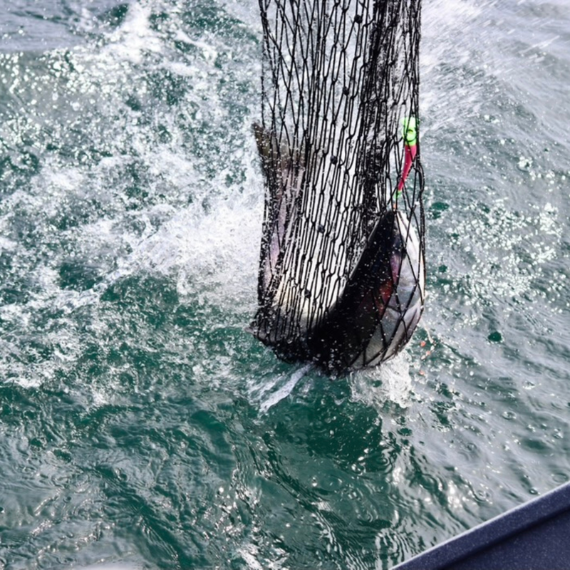 Load image into Gallery viewer, Vittle Vault – Max | Salmon Fishing Lure | Plug Cut Trolling Lure with Bait Cavity
