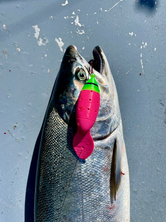 Vittle Vault Stinger | Salmon Lure with Maximum Scent & Action