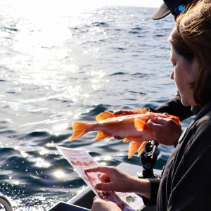 Deep Sea Fishing