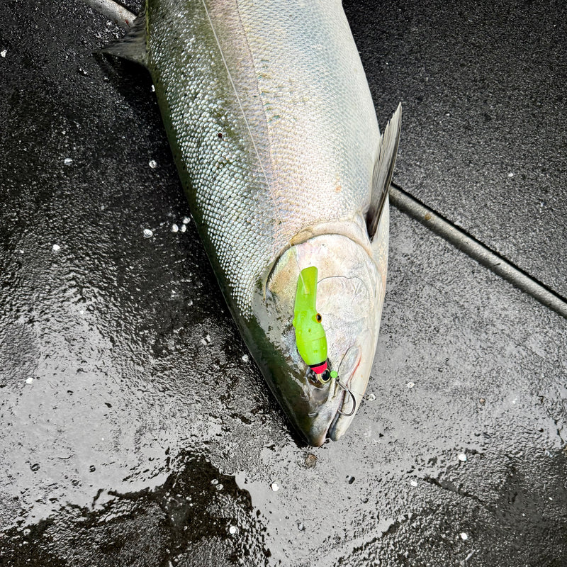 Load image into Gallery viewer, Ultra violet (UV) Green and Pink Coho, Chinook, Sockeye, Salmon and Trout Lure. Large lip for wobbling action, and scent chamber. Catching A Coho
