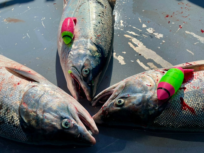 Load image into Gallery viewer, Vittle Vault Stinger | Salmon Lure with Maximum Scent &amp; Action

