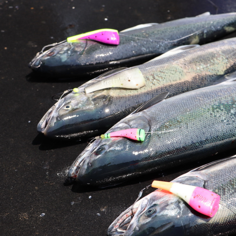 Load image into Gallery viewer, Vittle Vault – Max | Salmon Fishing Lure | Plug Cut Trolling Lure with Bait Cavity
