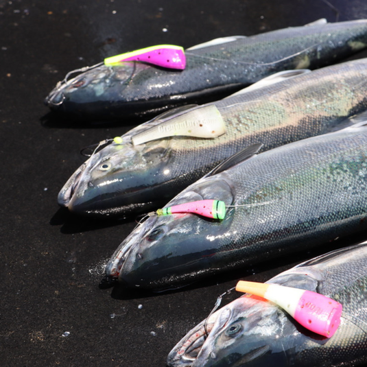 Vittle Vault – Max | Salmon Fishing Lure | Plug Cut Trolling Lure with Bait Cavity