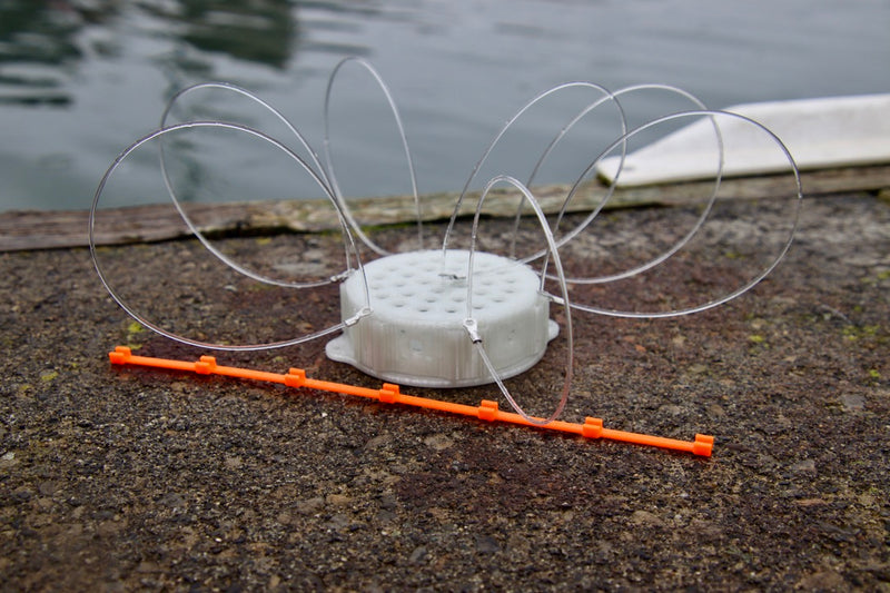 Load image into Gallery viewer, Bait Basket Crab Snare | The RapuTrap by Oregon Lure

