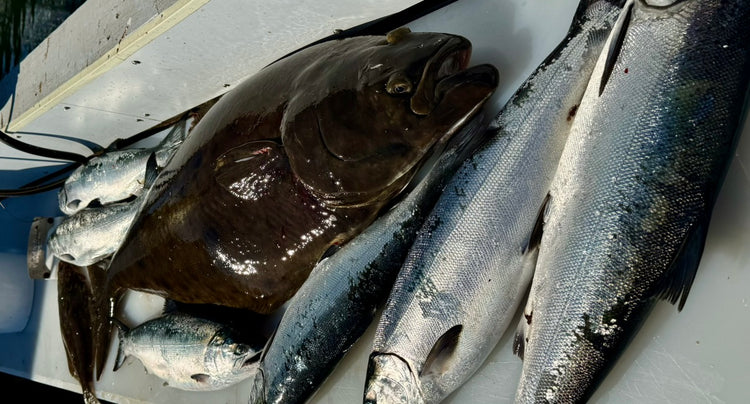 Take the work out of fishing