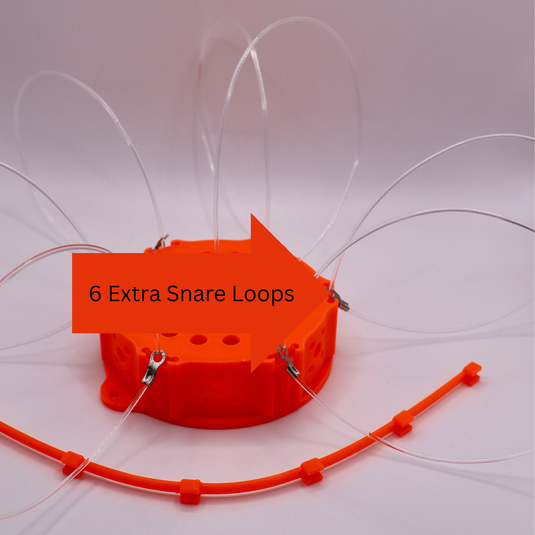 Replaceable Snares for Raputrap Crab Traps