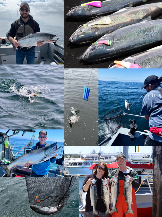 Holiday Salmon Trolling Bundle – Chinook & Coho Fishing Lures for Ocean Fishing