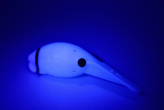 Ultra violet (UV) Blue and Light blue Coho, Chinook, Sockeye, Salmon and Trout Lure. Large lip for wobbling action, and scent chamber.