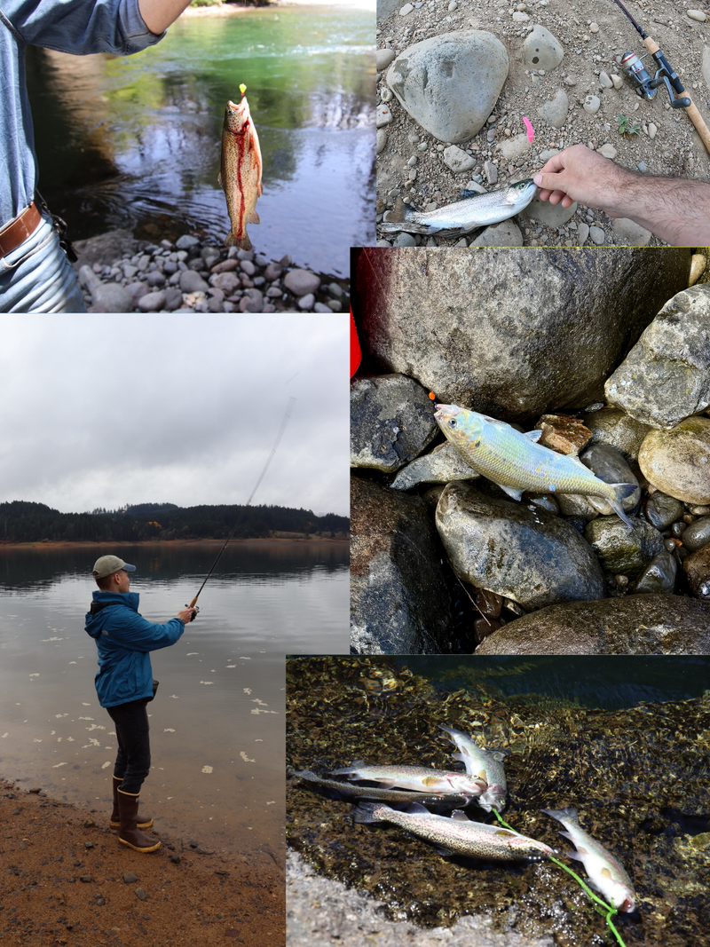 Load image into Gallery viewer, Holiday Bank Fishing Bundle – Trout, Bass &amp; Crappie Lure Pack
