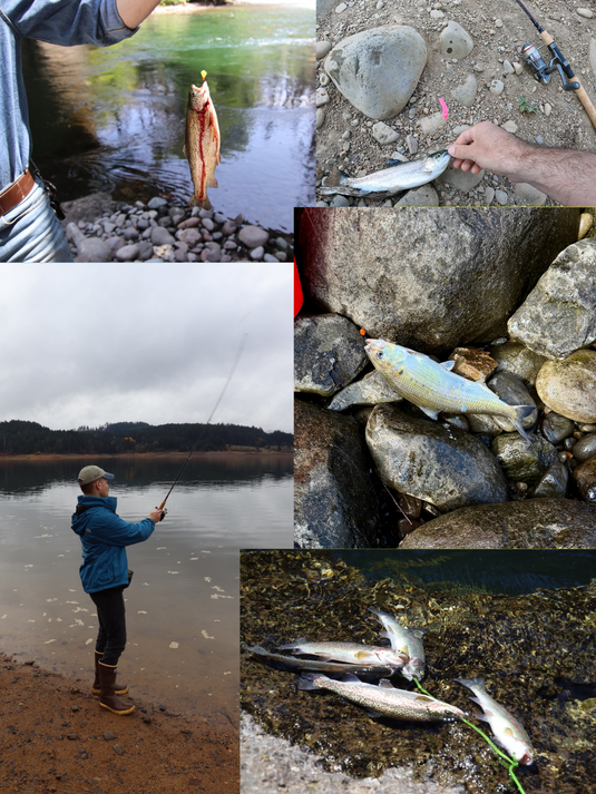 Holiday Bank Fishing Bundle – Trout, Bass & Crappie Lure Pack