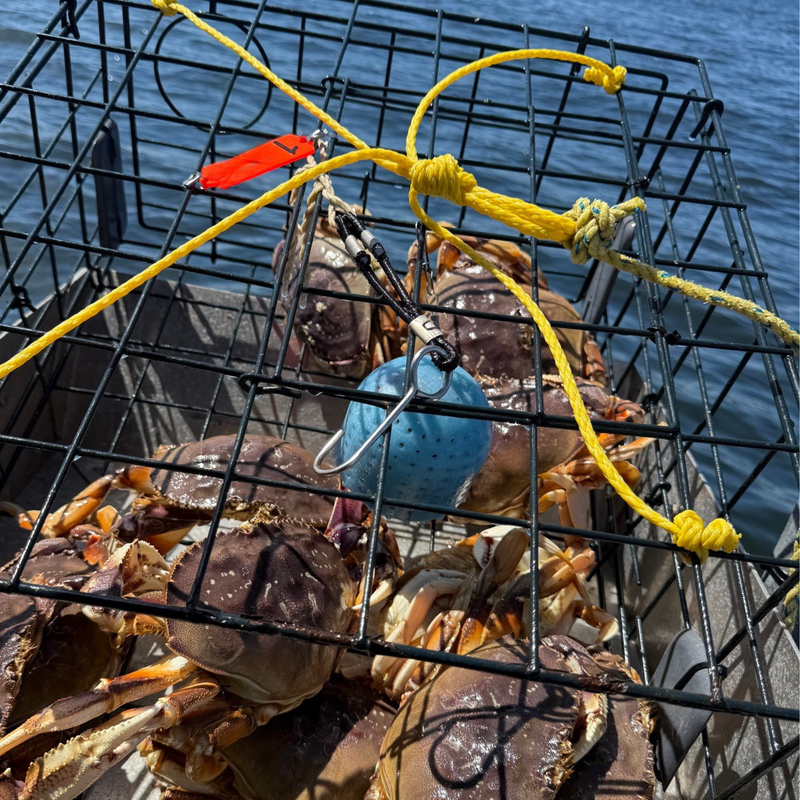 Load image into Gallery viewer, Bait Basket – Mega | Crab Bait Container for Pots, Traps &amp; Crab Rings
