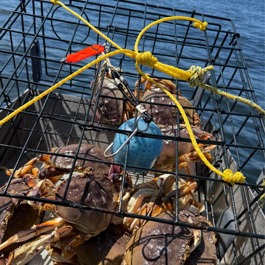 Bait Basket – Mega | Crab Bait Container for Pots, Traps & Crab Rings