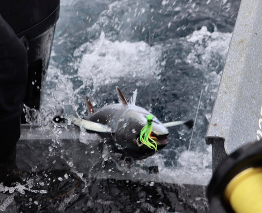 Take the work out of fishing
