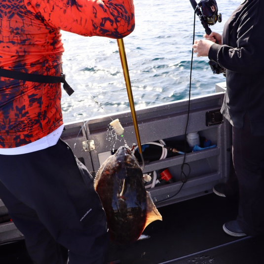 two people fishing and a Pacific halibut caught with the bait basket from Oregon Lure