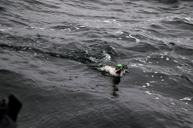 Get your gear in the water faster