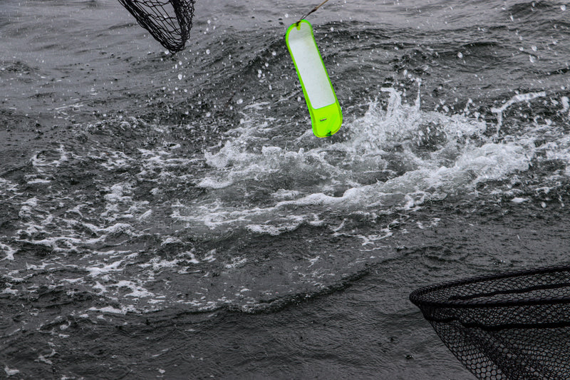 Load image into Gallery viewer, Salmon and fresh water fishing magnetic breakaway tool in action 
