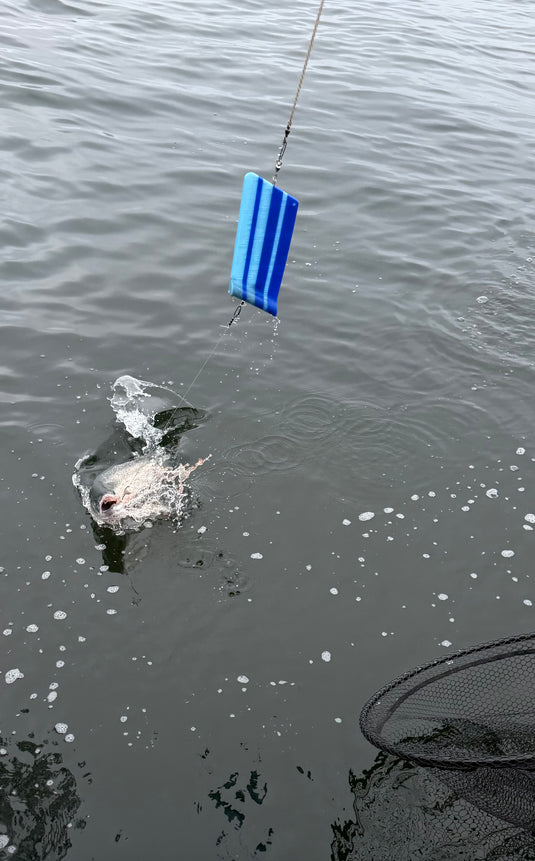 Fish Longer