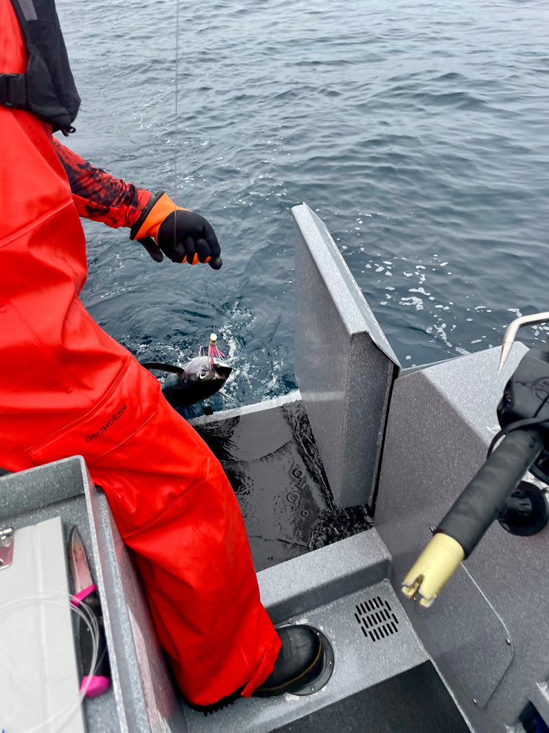 Load image into Gallery viewer, Offshore Crew
