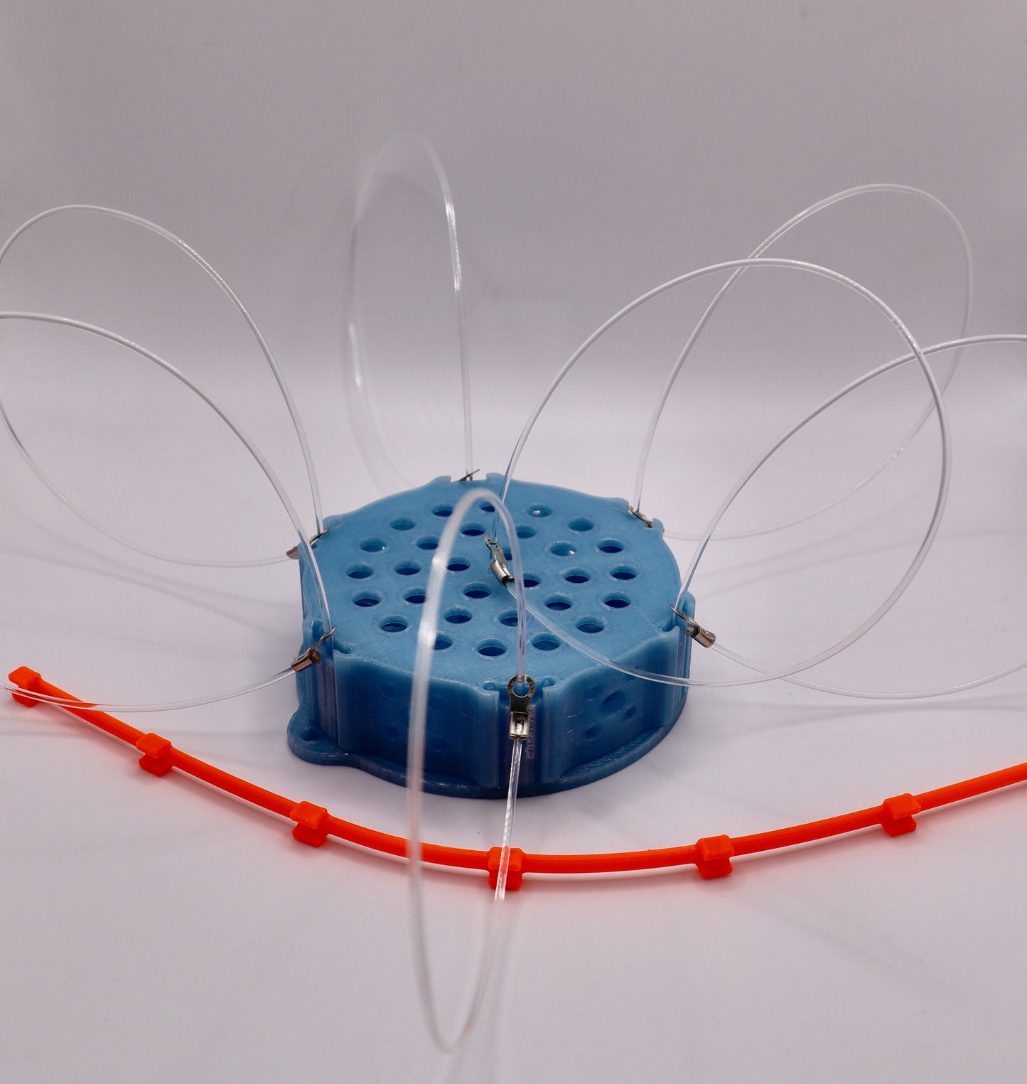 Bait Basket Snare