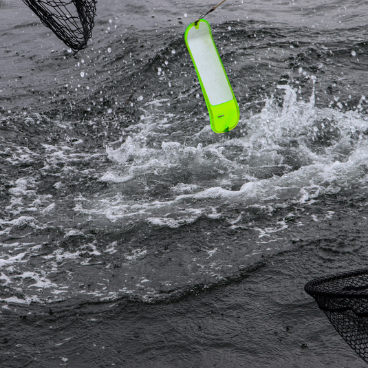 Magnetic breakaway on a 360 flasher in action catching a salmon